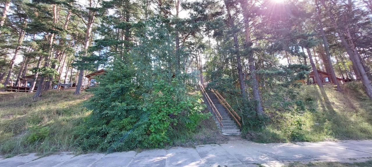 Domek Letniskowy U Marcina I Ani Borsk Exterior photo